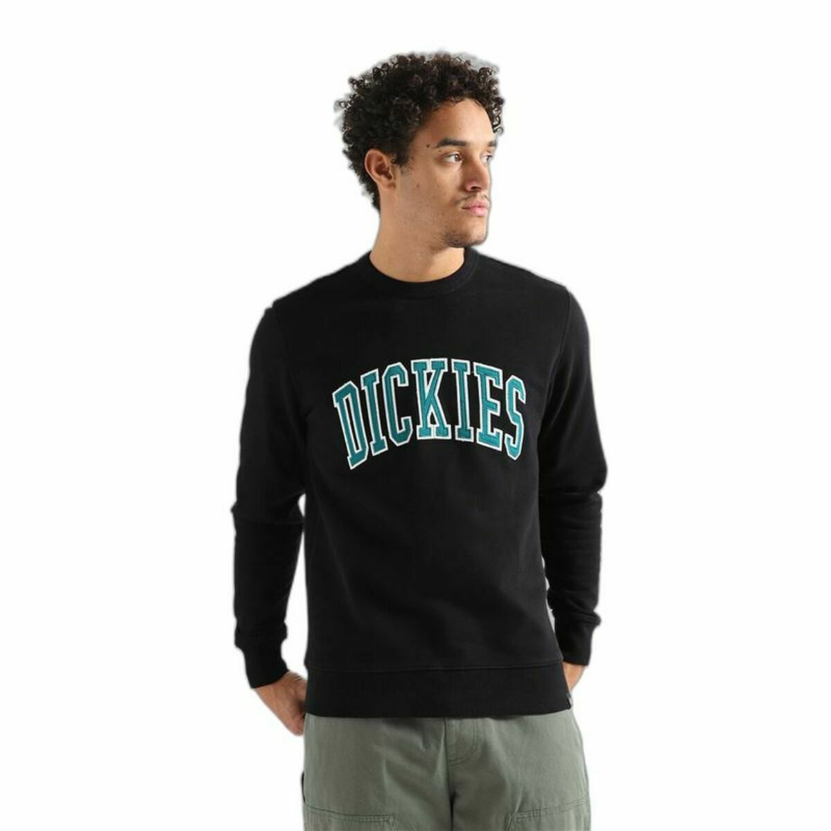 Hoodie Dickies Aitkin Black XS